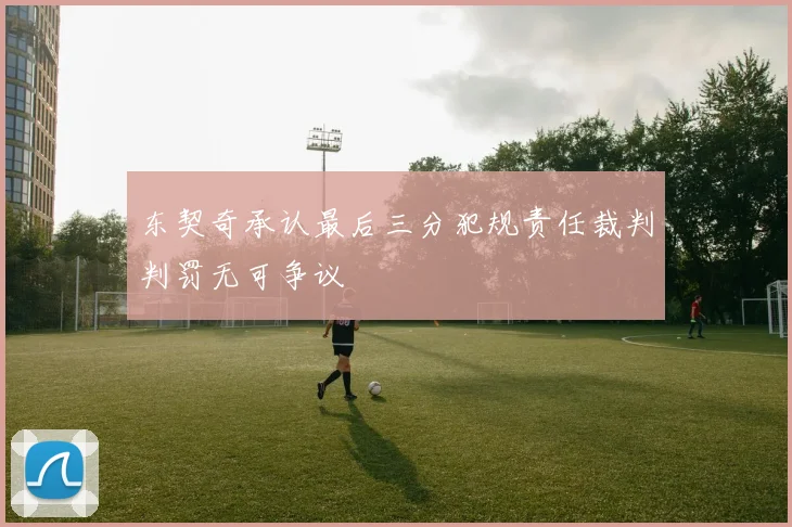 东契奇承认最后三分犯规责任裁判判罚无可争议