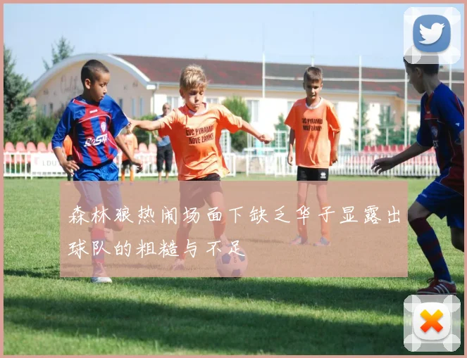 森林狼热闹场面下缺乏华子显露出球队的粗糙与不足