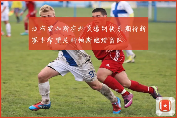 法布雷加斯在科莫感到快乐期待新赛季希望尼科帕斯继续留队